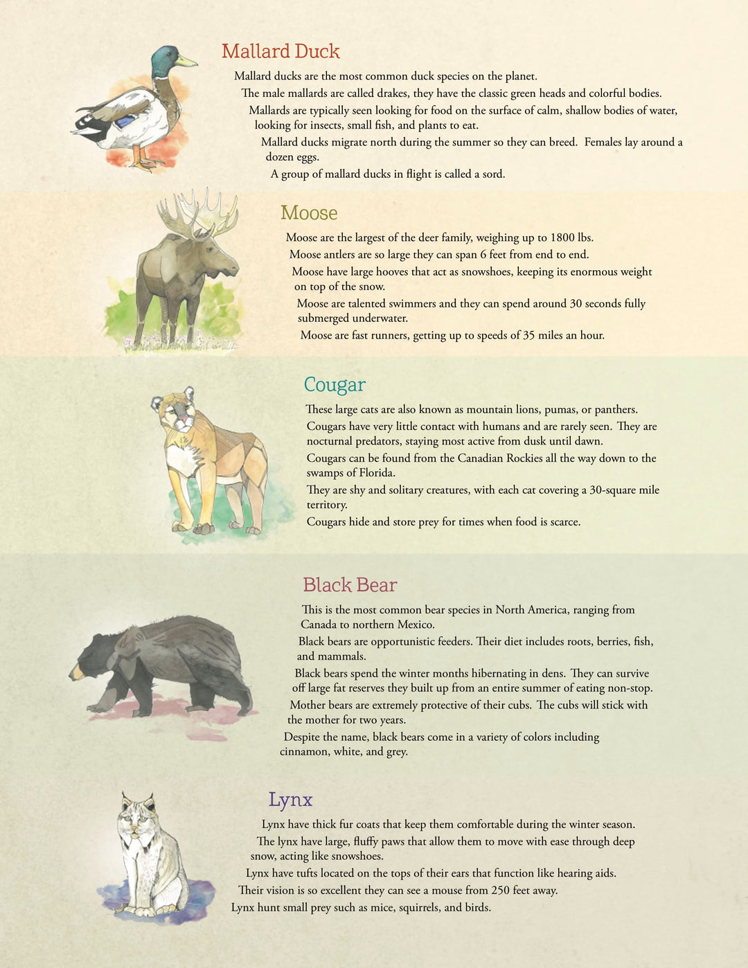 Animoves Fun Facts | Be Fit For Life – Ever Active